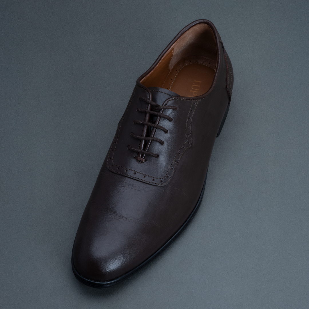 Cub Oxford – Brown